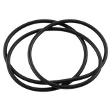 Waterway Clearwater II Lid O-Ring
