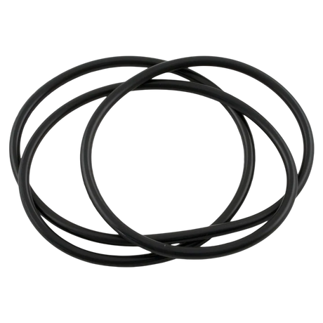 Waterway Clearwater II Lid O-Ring
