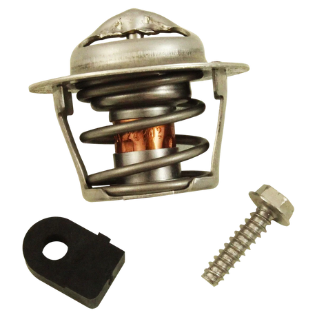 Zodiac Jandy JXi JXiQ Thermal Regulating Valve