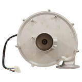 Jandy JXi Blower Assembly R0591100 - Back