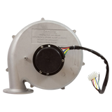 Jandy JXi Blower Assembly R0591100 - Front