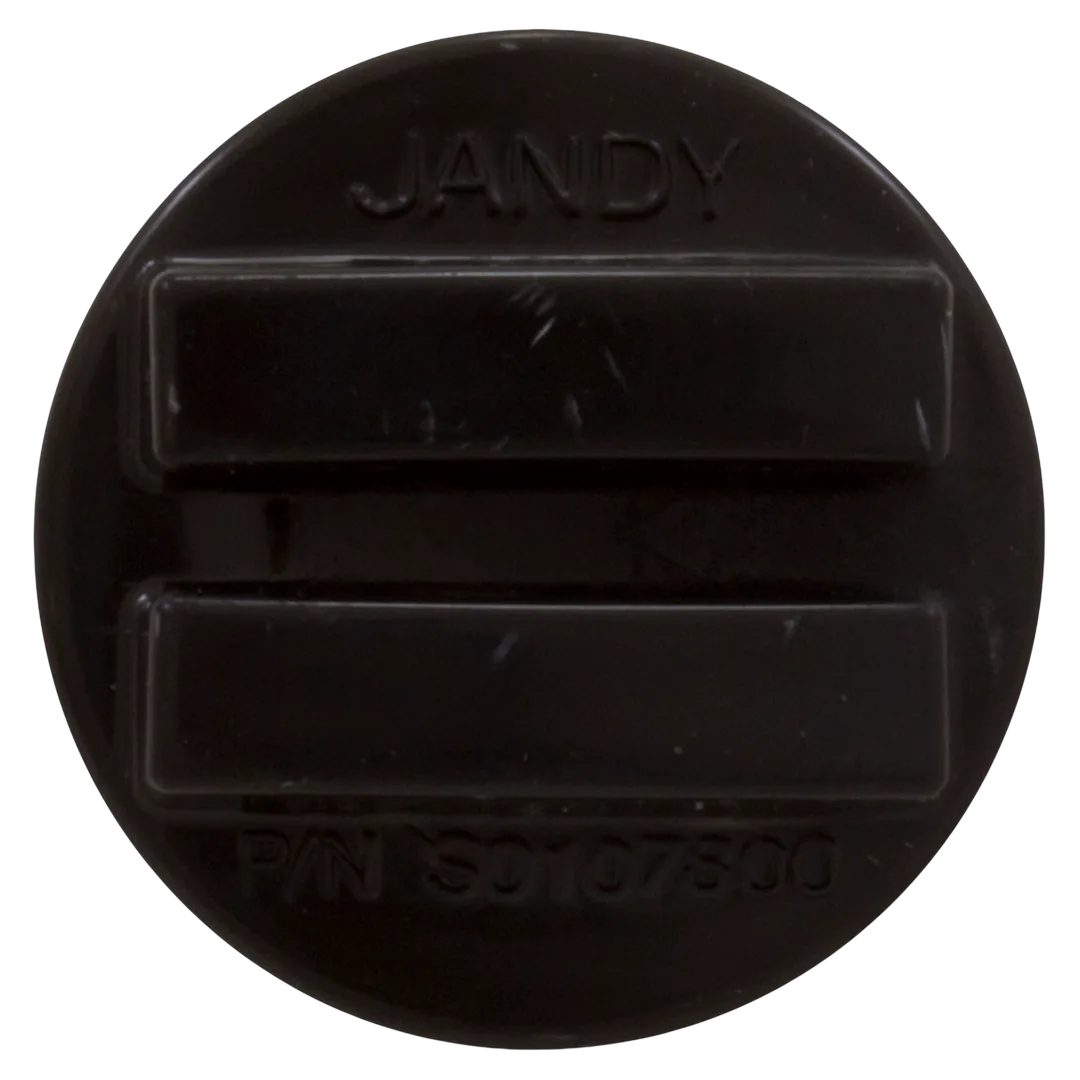Jandy R0358800 Drain Plug with O-Ring - Top