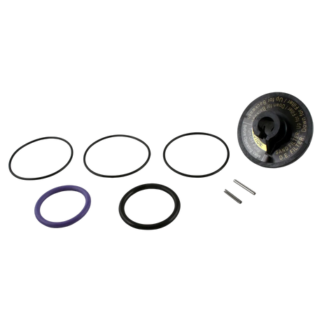 Zodiac R0442100 Slide Valve Kit Replacement