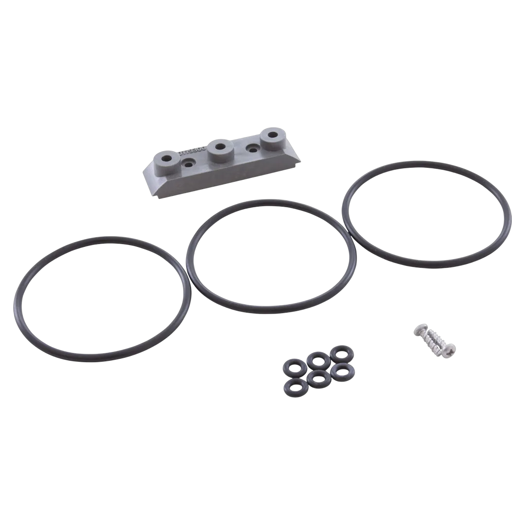 Zodiac R0452200 O-Ring and Terminal Adapter Kit for AquaPure and PureL