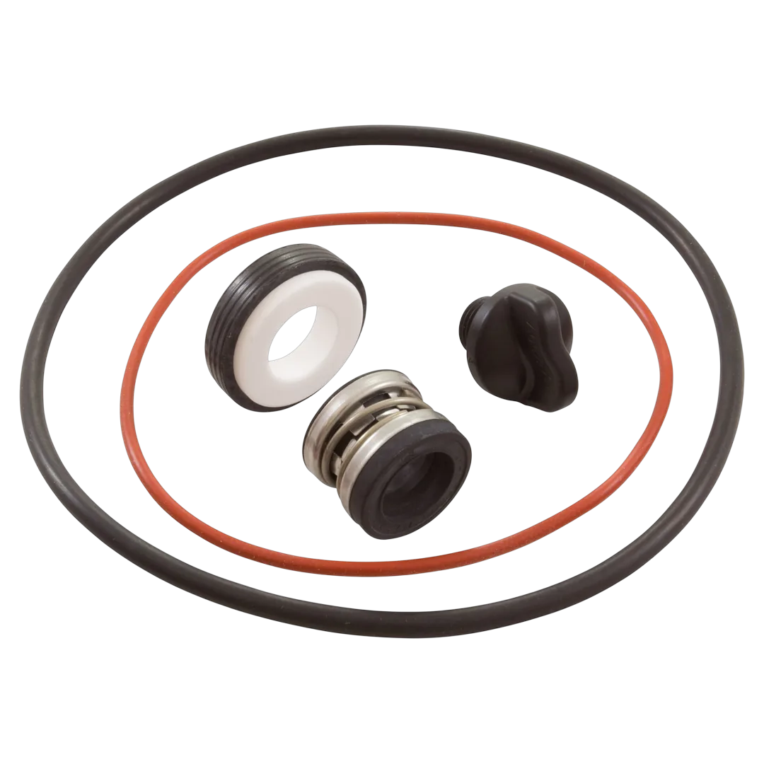 Polaris R0734300 Seal Replacement Kit - Alt (3)