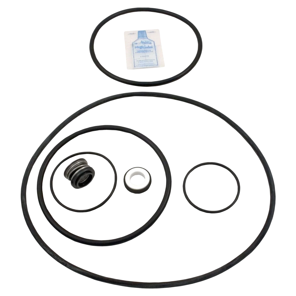 Aladdin Challenger Pump Seal Kit (GO-KIT5)