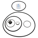 Aladdin Challenger Pump Seal Kit (GO-KIT5)