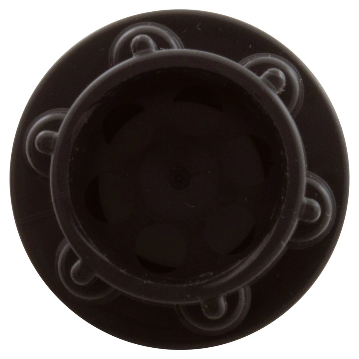 AquaStar ChemStar CH100 Check Valve (CH1010) — back view