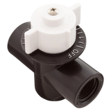 AquaStar ChemStar CH100 Control Valve (CH1019)
