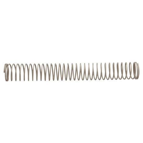AquaStar ChemStar CH100 Tube Support Spring (CH1027) — side view