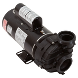 Balboa Water Group Dura-Jet 1.5HP Spa Pump (4239113-S)