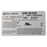 Balboa Water Group System Heater Slave 5.5kW Titanium (55986) — product label