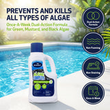 BioGuard Algae Complete Dual-Action Algaecide