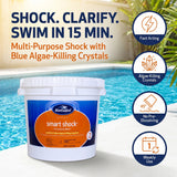 BioGuard smart shock pool treatment with pool in background