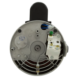 Century Centurion 3 HP Square Flange Pump Motor (B2844) — shaft reverse view