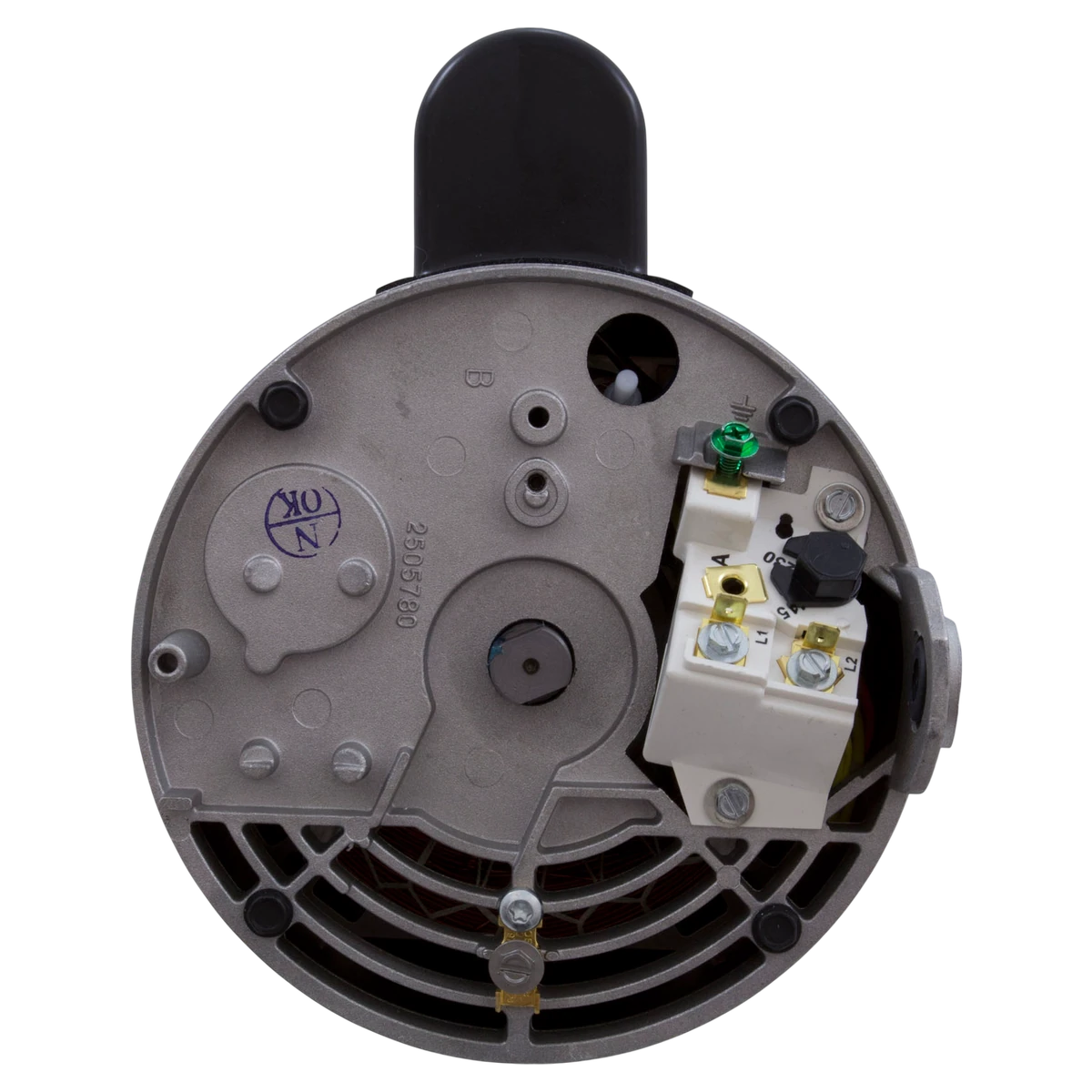 Century Square Flange 56Y Motor (B2846) — wires view