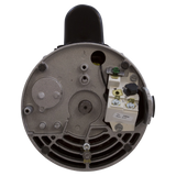 Century 1.5HP Full-Rate Pool Pump Motor (B2858) — wires view