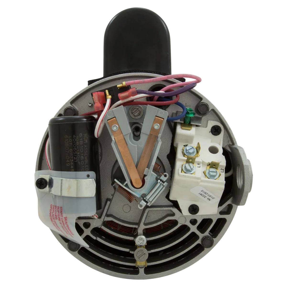 Century 2HP 2-Speed 56J Pool Pump Motor (B2979) — back view