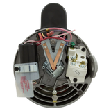Century Centurion 3/4 HP 2-Speed Pump Motor (B2981) — back view