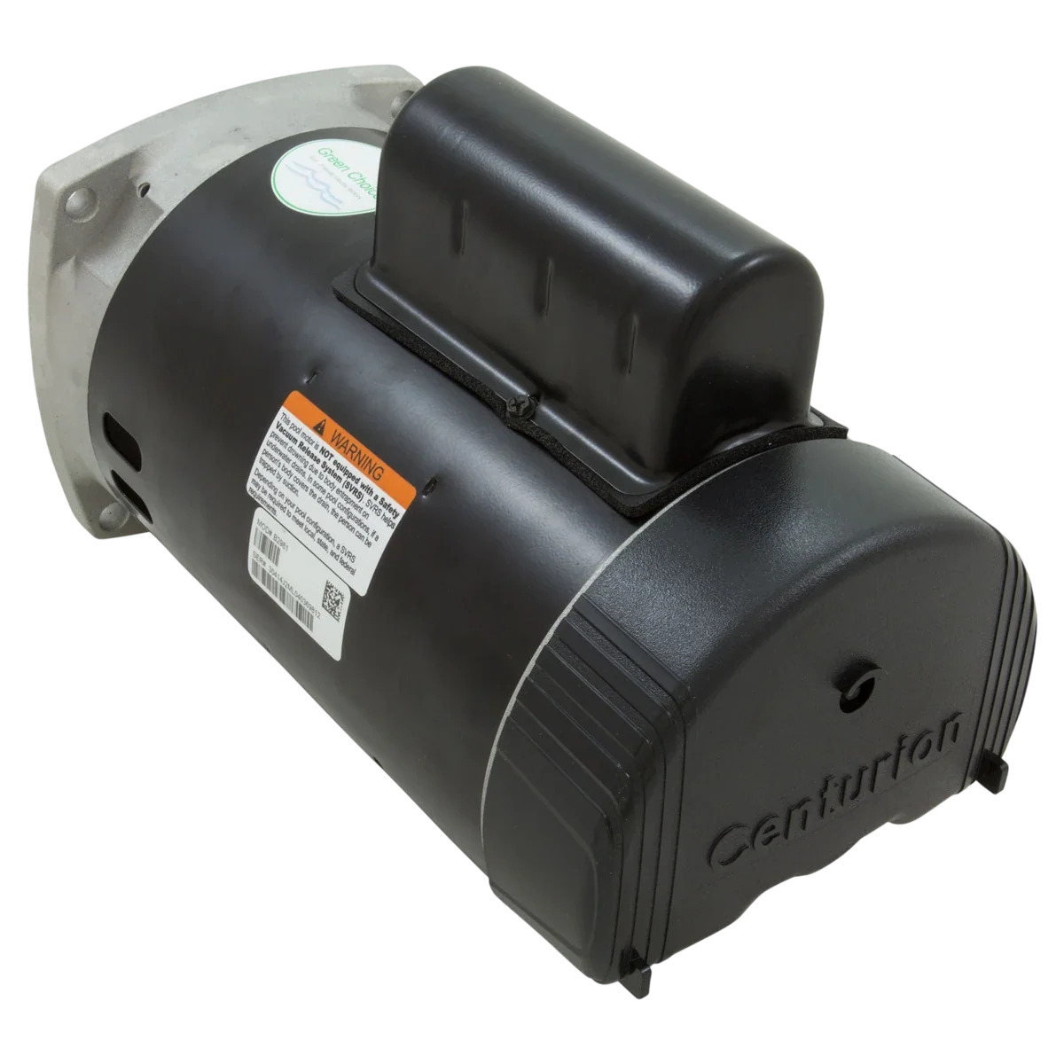 Century Centurion 3/4 HP 2-Speed Pump Motor (B2981) — reverse view