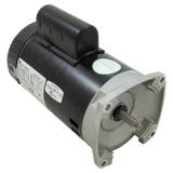 Century Centurion 3/4 HP 2-Speed Pump Motor (B2981)
