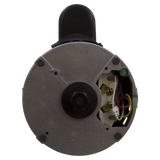 Century 1.5 HP 56J Pool Pump Motor (B796) — wires view