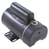 Century 1.5HP 2-Speed 48Y Pump Motor (BN34V1) — reverse view