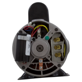 Century 3HP 2-Speed 48Y Frame Motor (BN62) — shaft reverse view