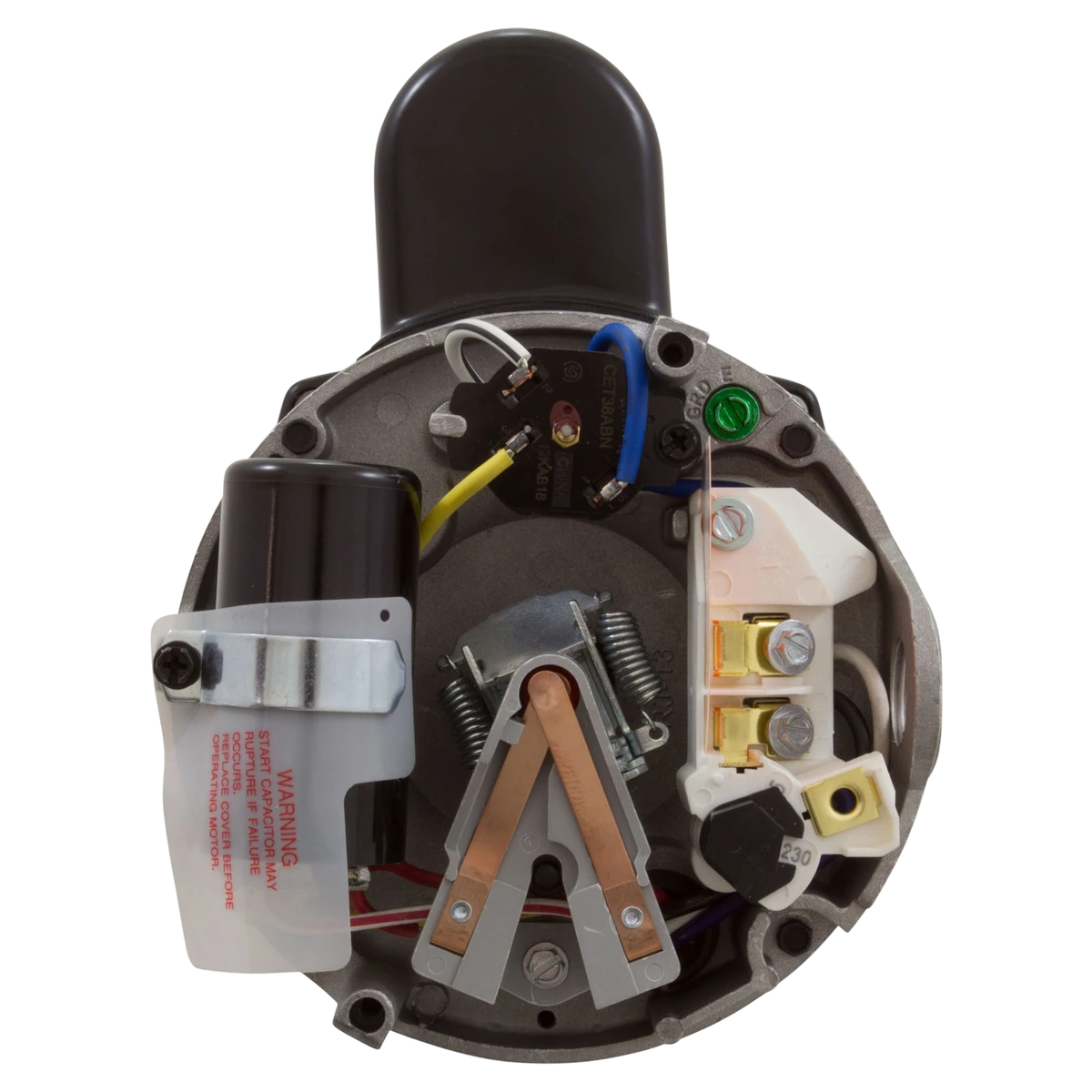 Century Pool Pump Motor 1HP 48Y Frame (QC1102) — shaft reverse view