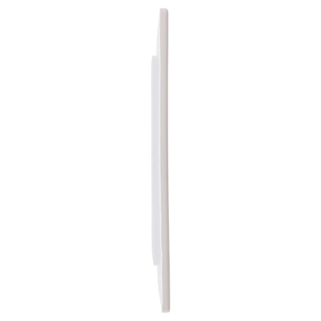 CMP Standard Skimmer Faceplate (25540-000-010) — side view