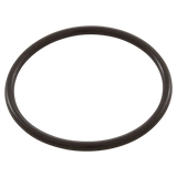 Generic 2 Inch O-Ring Cross Section (90-423-5226) — o-ring
