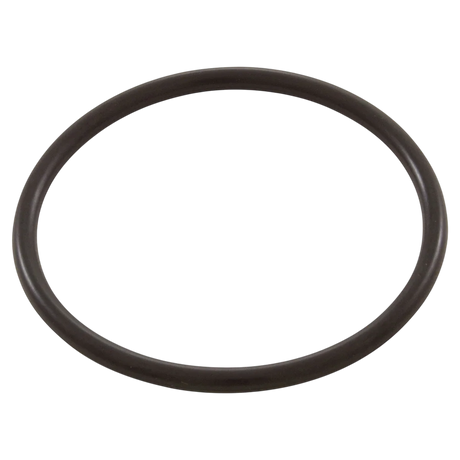 Generic 2 Inch O-Ring Cross Section (90-423-5226) — o-ring