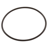 Generic Pump and Filter O-Ring (AS-208H) — o-ring