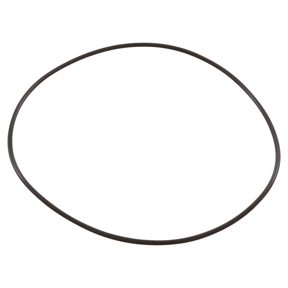 Generic 5 Inch O-Ring 3/32 Cross Section (AS-241H) — o-ring