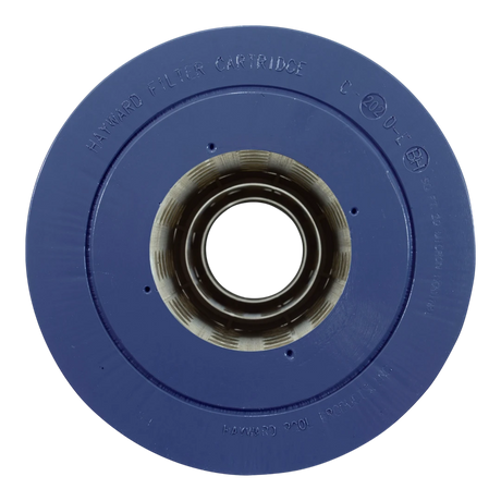 Hayward CX2020RE - Cartridge End Cap
