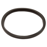 Hayward StarClear Filter Head Gasket (CX250F) — reverse view