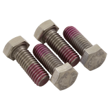 Hayward SPX0125Z44 cap screws with red coating details