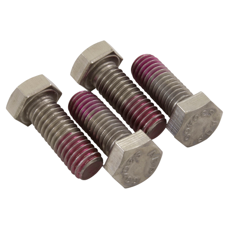 Hayward SPX0125Z44 cap screws with red coating details