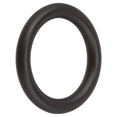 Hayward O-Ring (SPX0605Z2V)