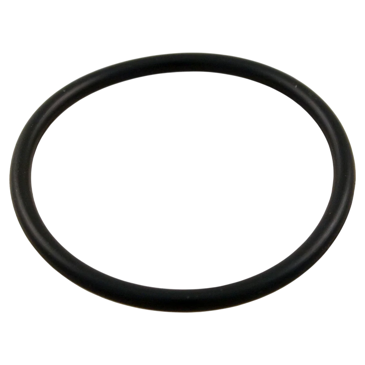 Hayward O-Ring (SPX1425Z6)