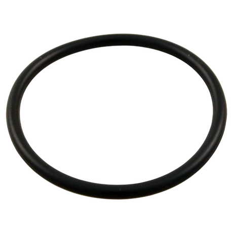 Hayward O-Ring (SPX1425Z6)