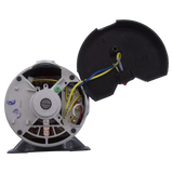 Hayward PowerFlo 1.5 HP Motor w/ Switch (SPX1515Z1E) — shaft reverse view