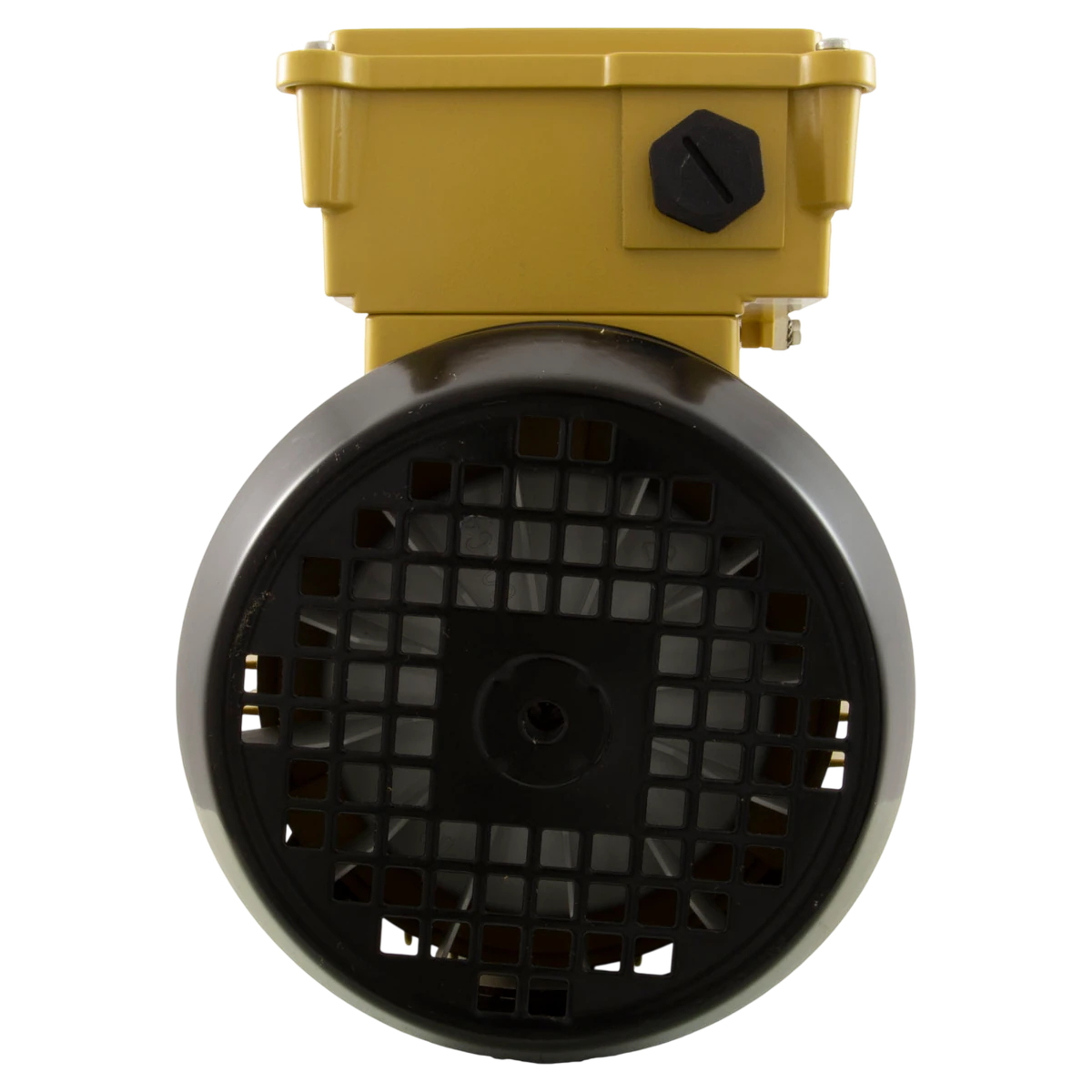 Hayward Super Pump TEFC Motor 1.5 HP (SPX2610Z1MTG) — back view