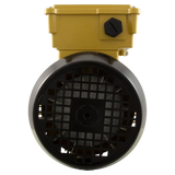 Hayward Super Pump TEFC Motor 1.5 HP (SPX2610Z1MTG) — back view