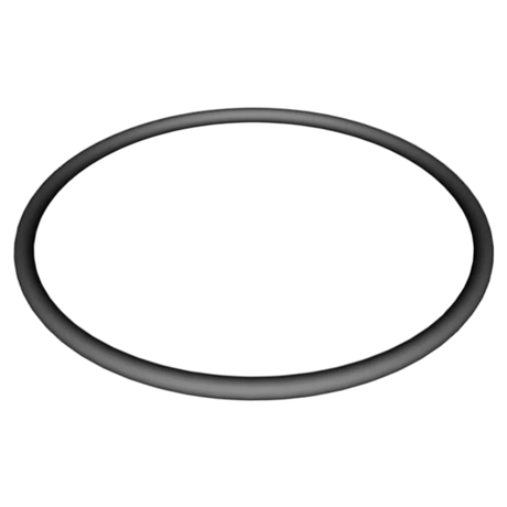 Hayward Super II Strainer Cover O-Ring (SPX3000S)