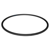 Hayward NorthStar Strainer Cover O-Ring (SPX4000S)