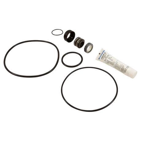 Hayward PowerFlo Matrix Pump Quick Fix Kit (SPXHKIT12MTX) — reverse view