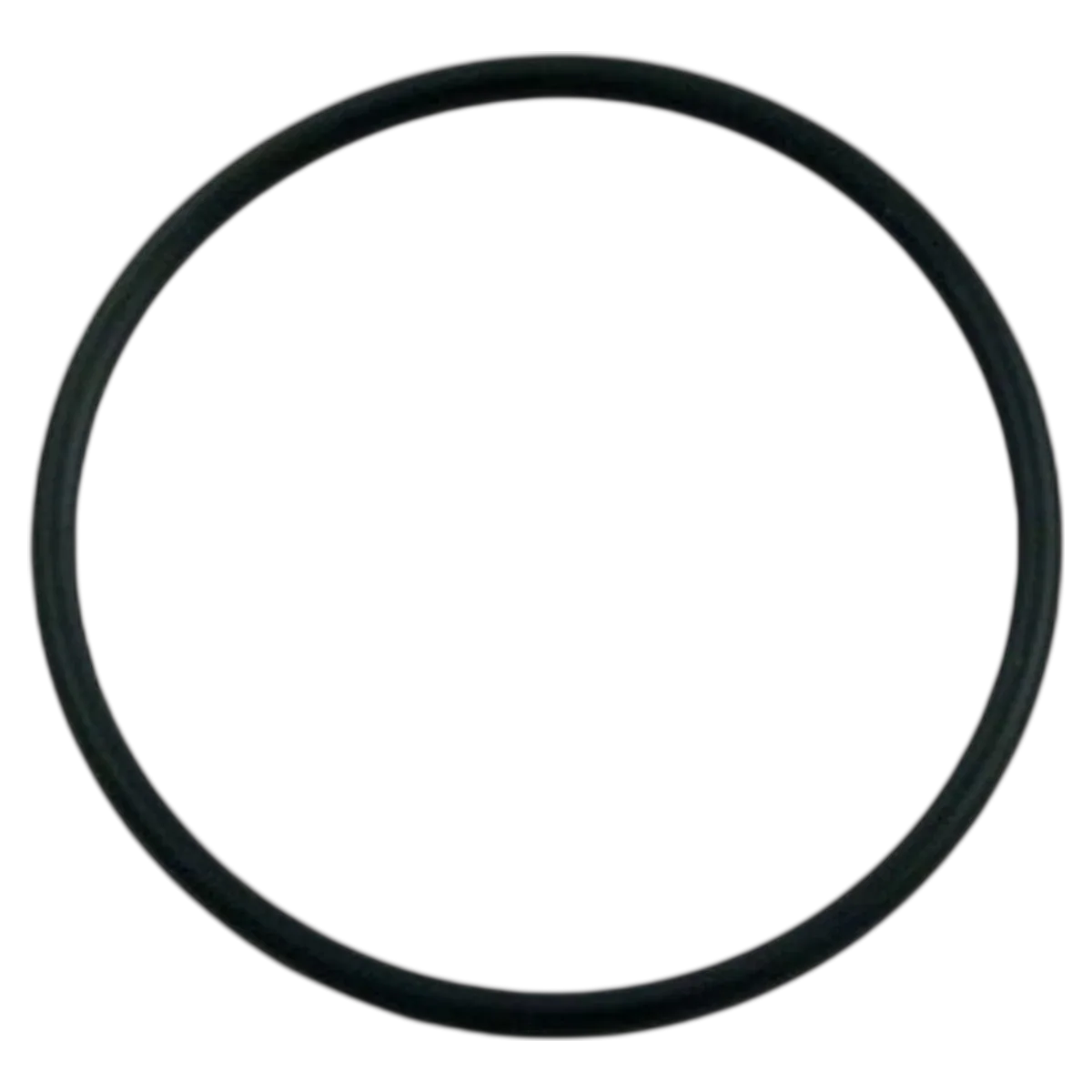 Hayward 2" Flush Union O-Ring (SX200Z3)