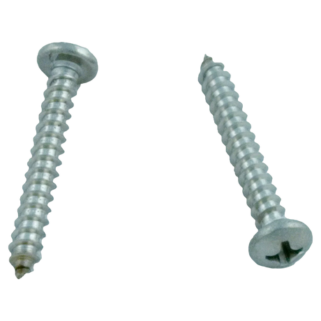 Letro/Pentair Legend Cleaner Shroud Screw 2-Pack (EU80)