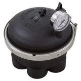 Paramount Complete Water Valve 6-Port 2 Inch (004302418403)